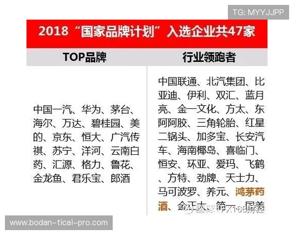 买波胆稳赢方法防骗避坑品牌入口下载评测